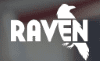 Raven Tools