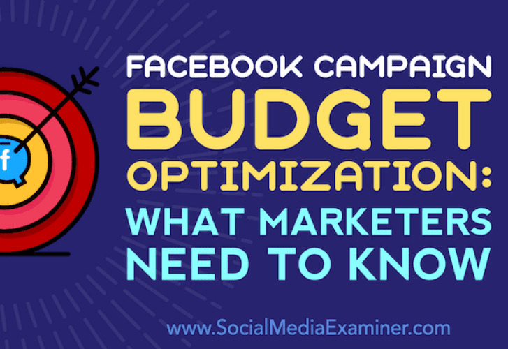 Optimización del presupuesto de campaña Facebook: que debes saber