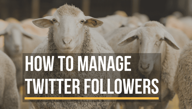 Cómo manejar e involucrar tus seguidores en Twiter