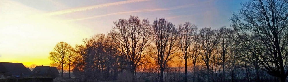 cropped-sunrise.jpg