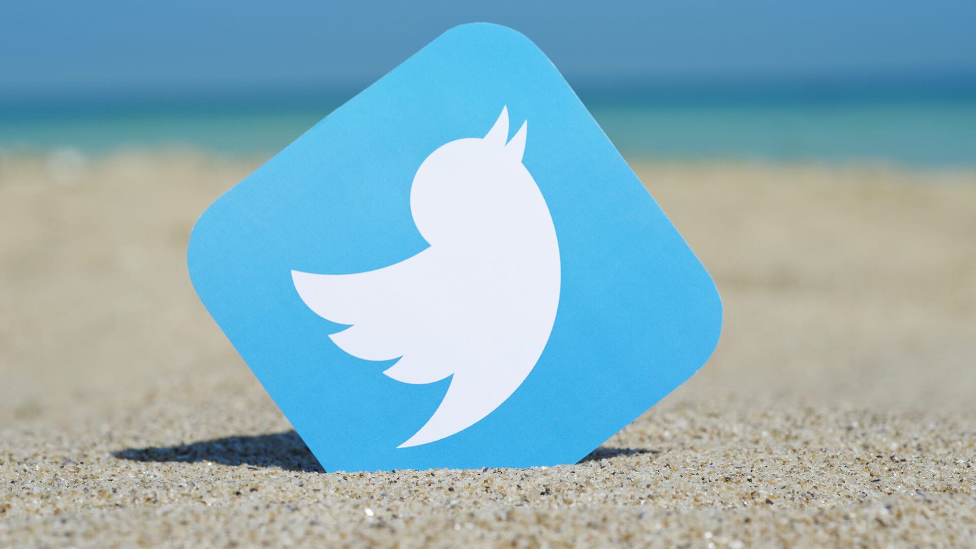 twitter-bird-logo-beach-ss-1920.jpg